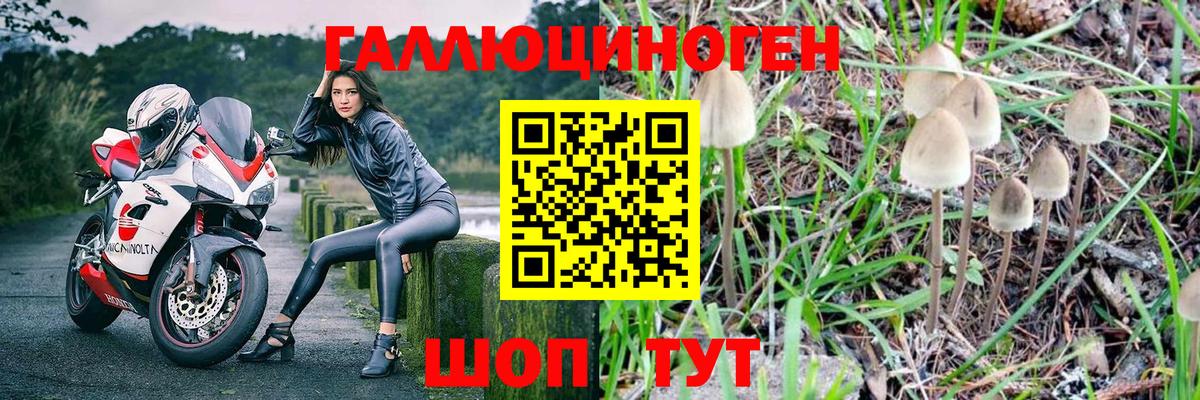 Астрахань  Галлюциногенные грибы Magic Shrooms  Вход с VPN 